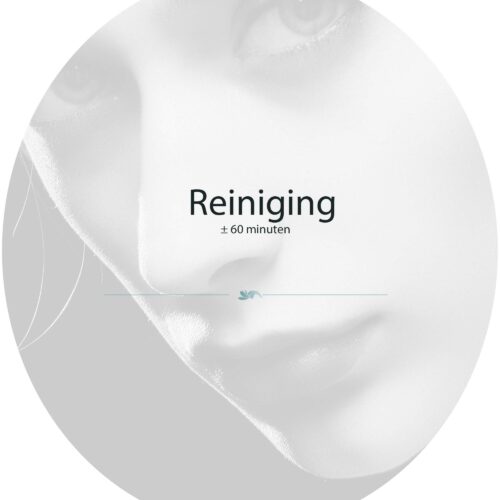 reiniging